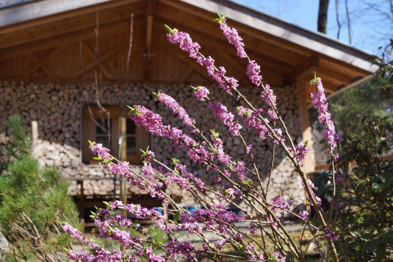 Ferienhaus Waldwinkl Hotel Grainau Exterior photo